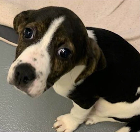 Posh Ambassador for Jane Iredale 🥰 - Picture 12 of 16